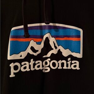 Patagonia Black Hoodie with Vibrant Logo